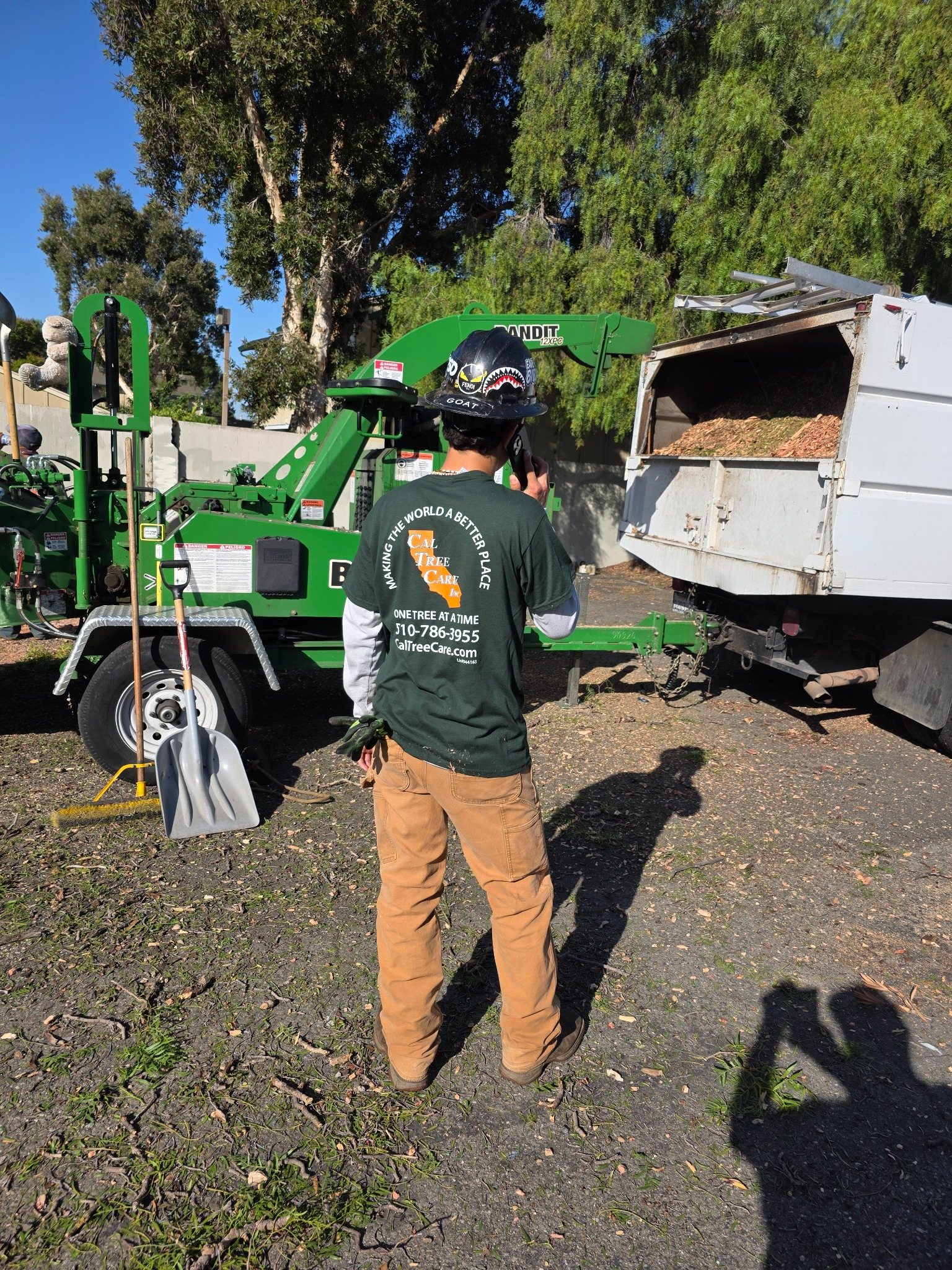 Cal Tree Care crew member with professional chipper