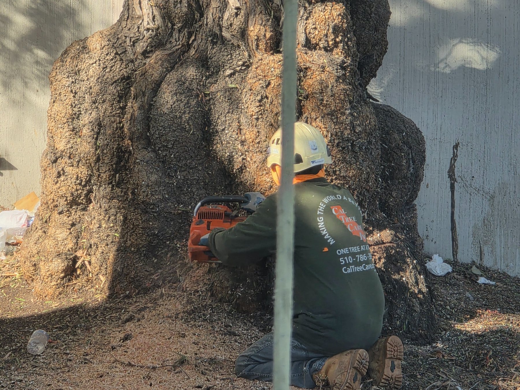 Cal Tree Care chipper and truck