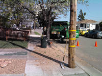tree work